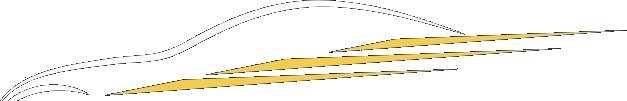 Autohoito VJ